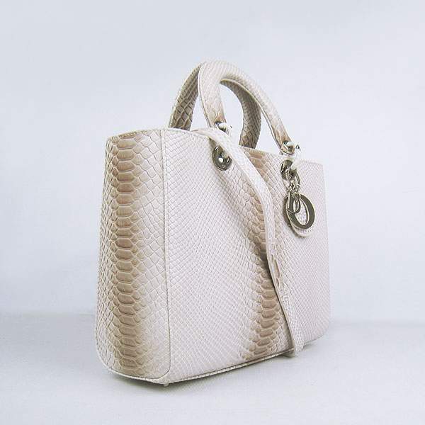 Christian Dior 1886 Snake Leather Shoulder Bag-Gray